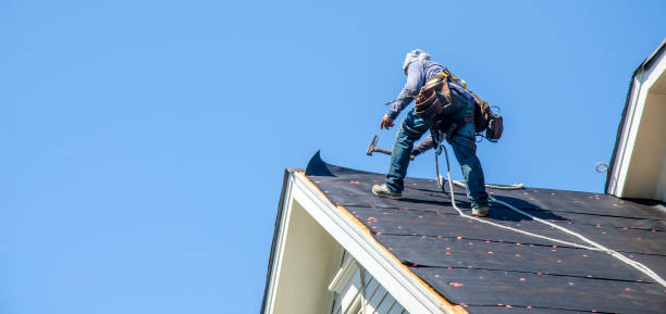Best Storm Damage Roof Repair  in Pierce, CO